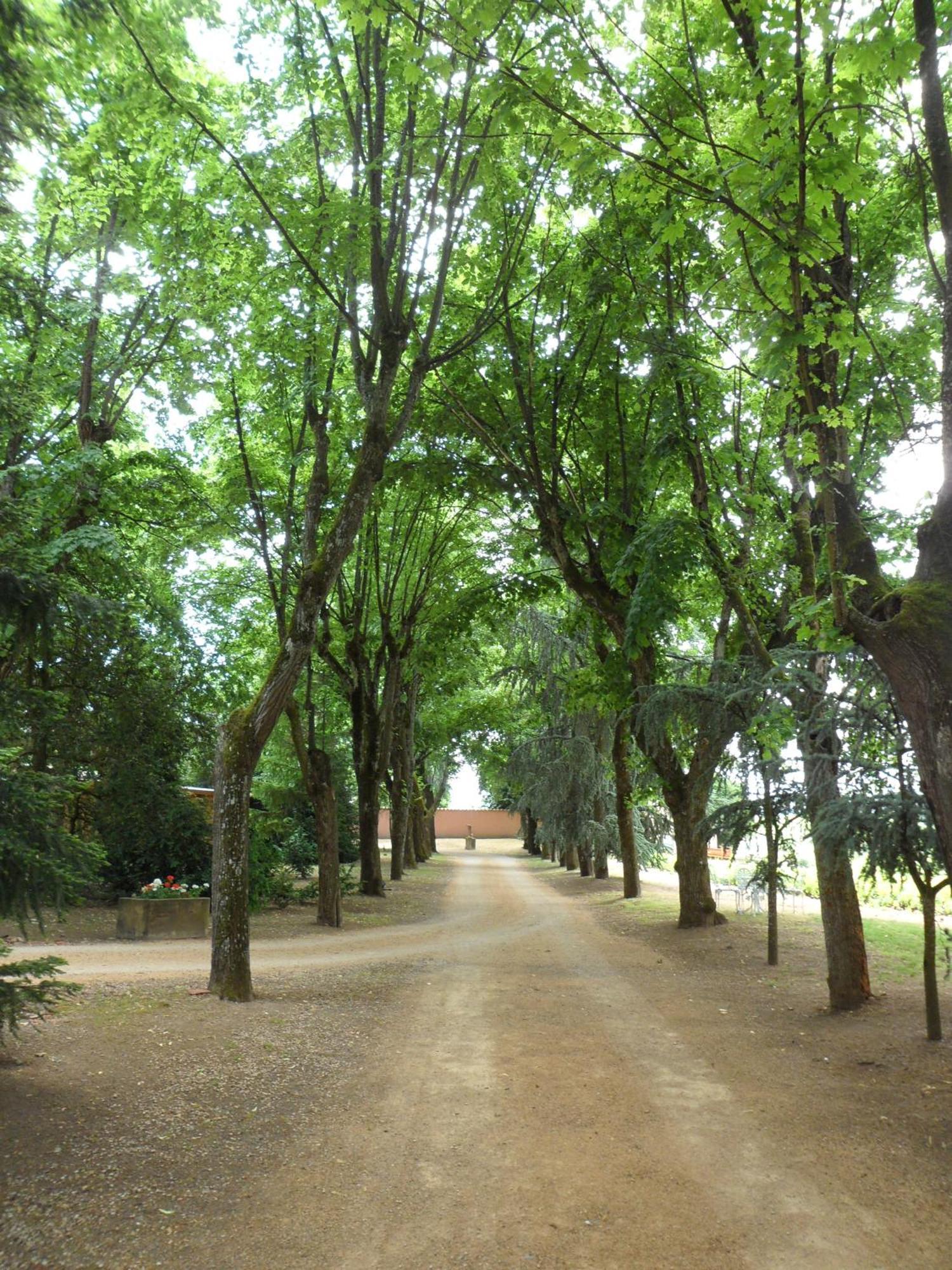 Chateau De La Chapelle Des Bois Fleurie Luaran gambar